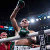 El Consejo Mundial de Boxeo ha determinado que el retador obligatorio de Saúl ''Canelo'' Álvarez es el mexicoamericano David Benavidez.