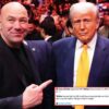 UFC confirma función histórica en la Casa Blanca para celebrar el 4 de julio en sus 250 años