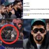 Bad Bunny atrapa pelota de foul y celebra la remontada de los Yankees