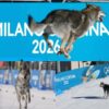 Nazgul: El perro lobo que irrumpió en la final olímpica y eclipsó el oro sueco